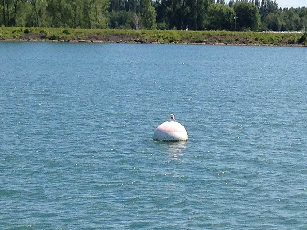 mooring-buoy